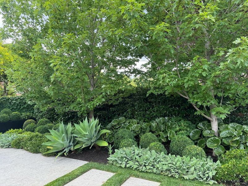 Edible Underplanting