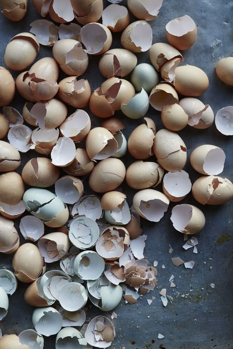 Eggshells