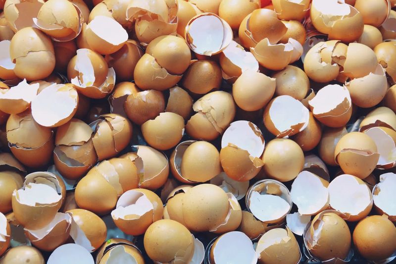 Eggshells