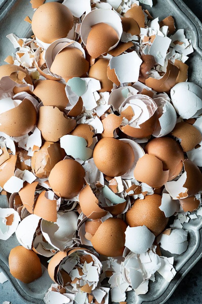 Eggshells