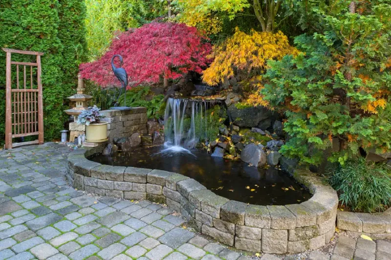 Elaborate Water Features