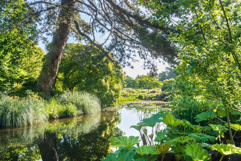Embracing Plant Diversity