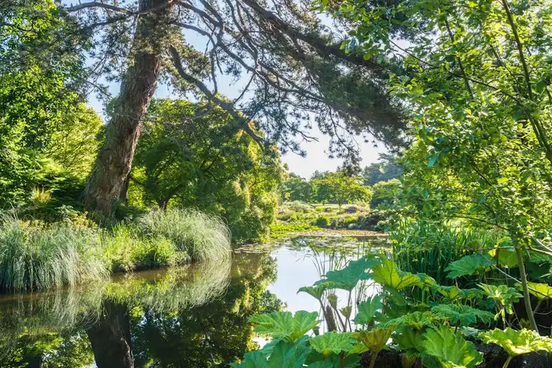 Embracing Plant Diversity