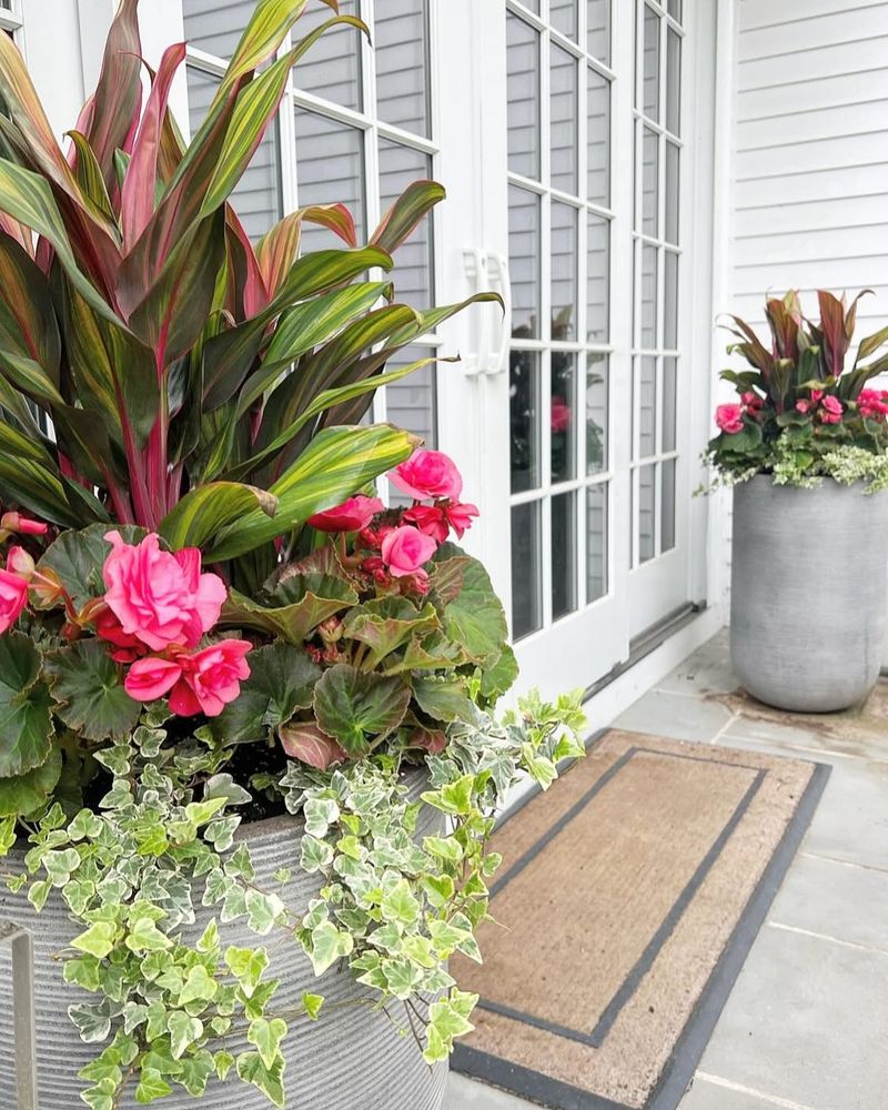 Enhance Potted Plants