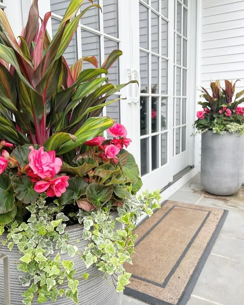 Enhance Potted Plants