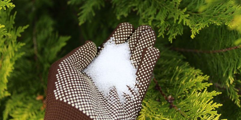 Epsom Salt Plant Reviver