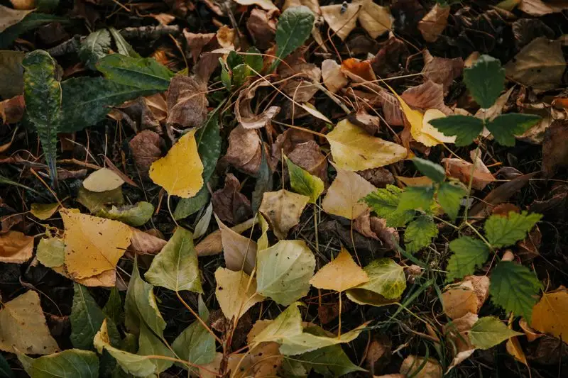 Erosion Control
