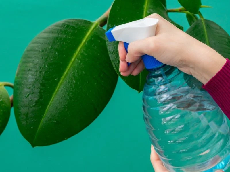 Natural Soap Solutions