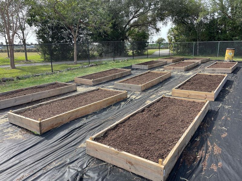 Establish a Community Garden