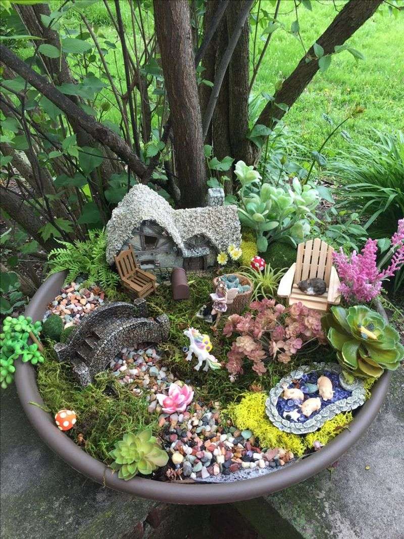Fairy Garden