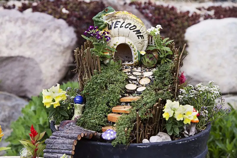 Fairy Garden