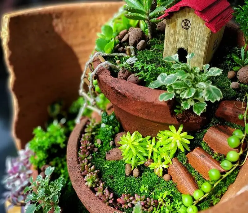 Fairy Garden in a Pot