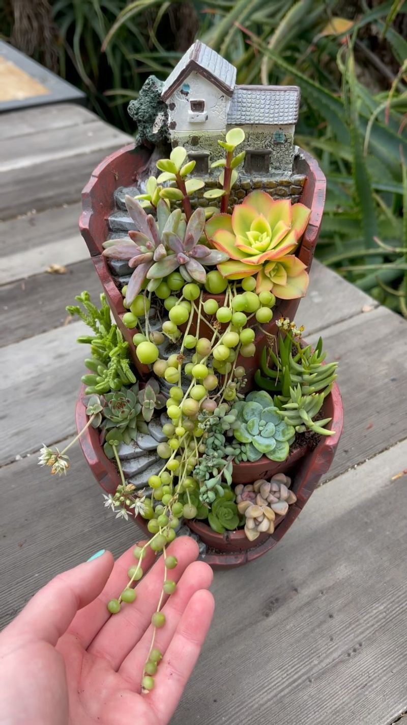 Fairy Gardens