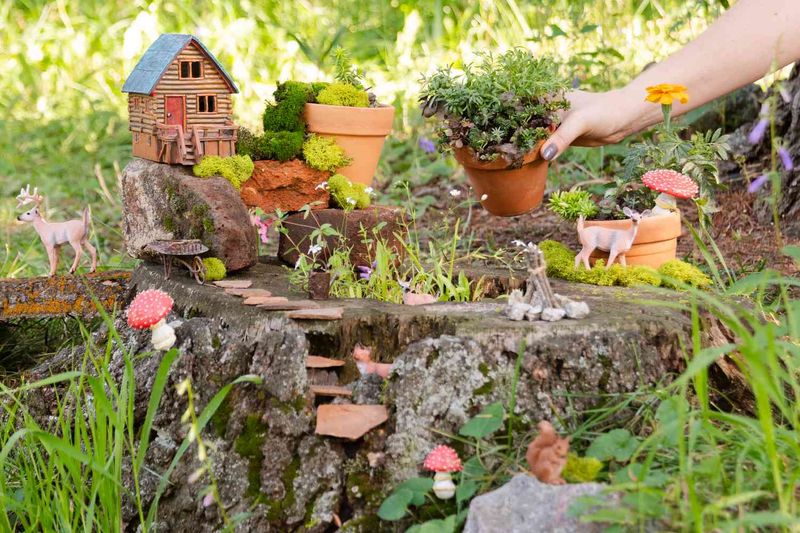 Fairy Tale Woodland