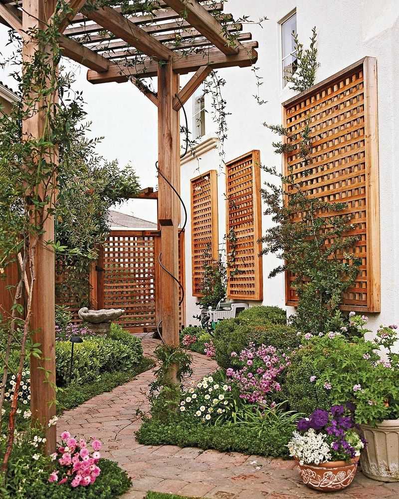 Fan Trellis