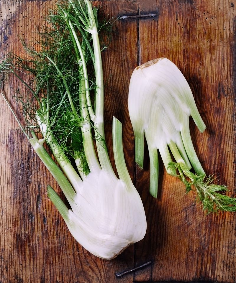 Fennel Bases