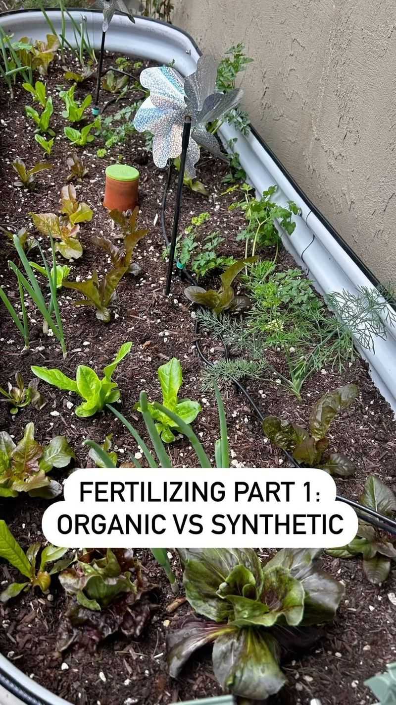 Fertilize Appropriately