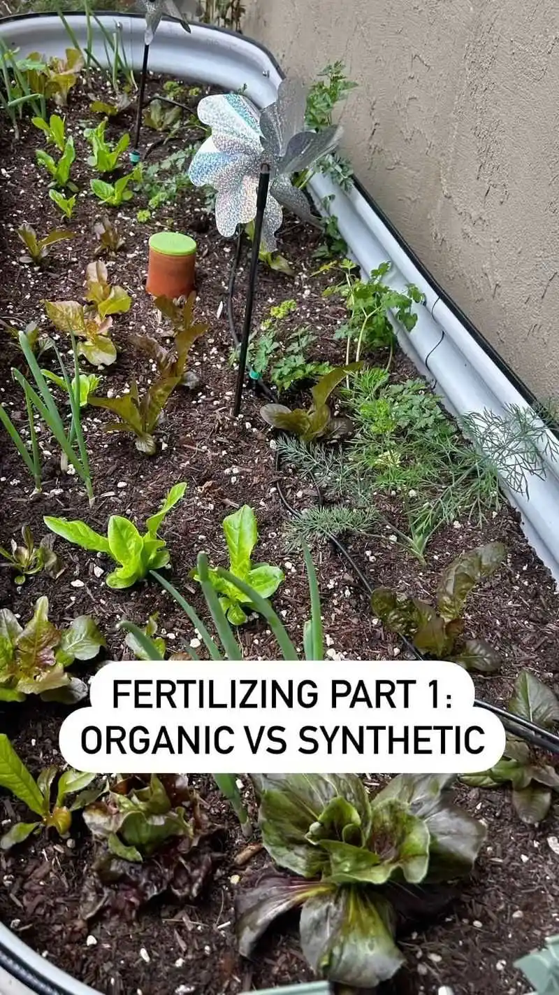 Fertilize Appropriately