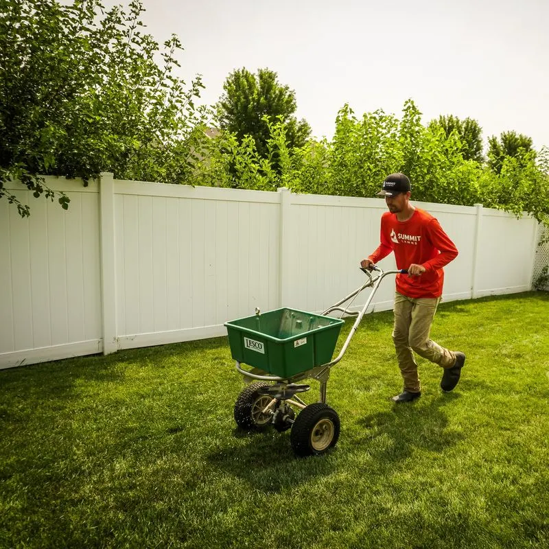Fertilize Lawns