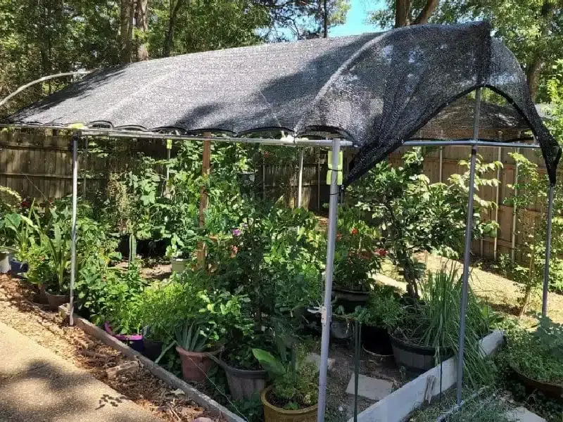 Shade Management