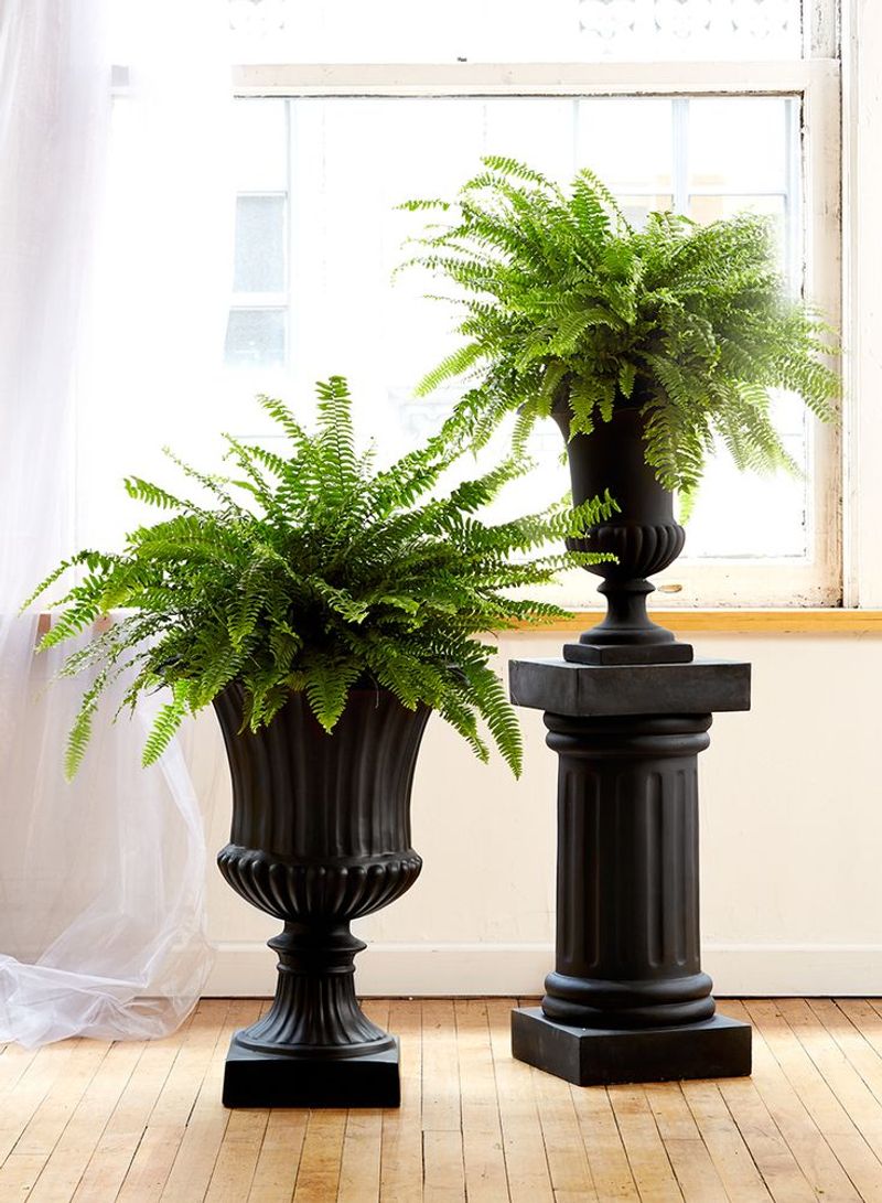 Fiberglass Urn Planter