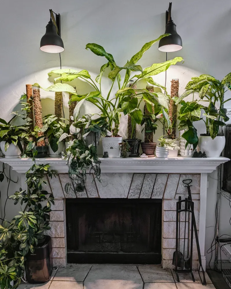 Fireplace Mantel