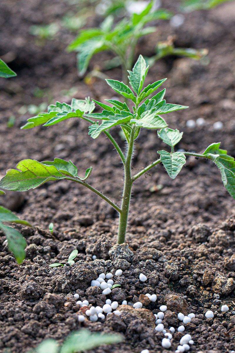 Balanced Soil Nutrition