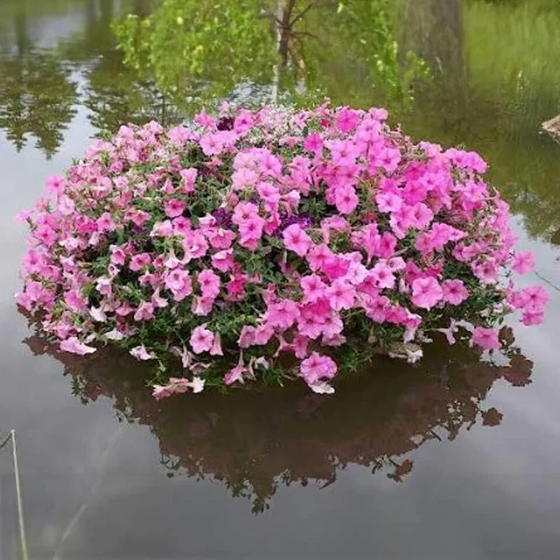 Floating Flower Pot Pond