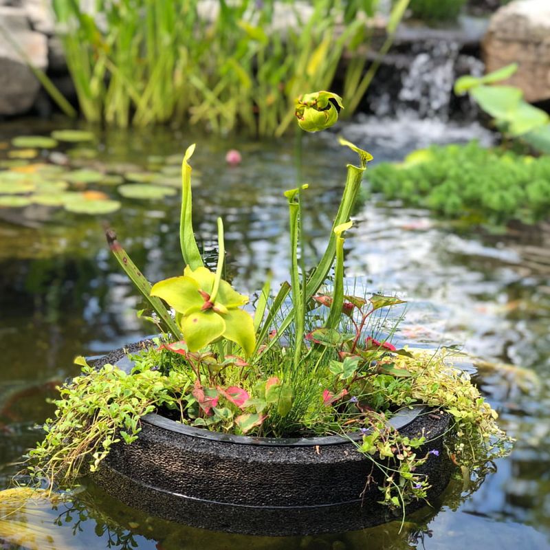 Floating Islands