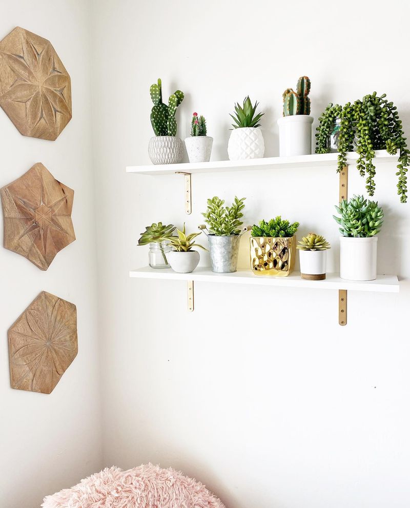Floating Shelves with Succulents