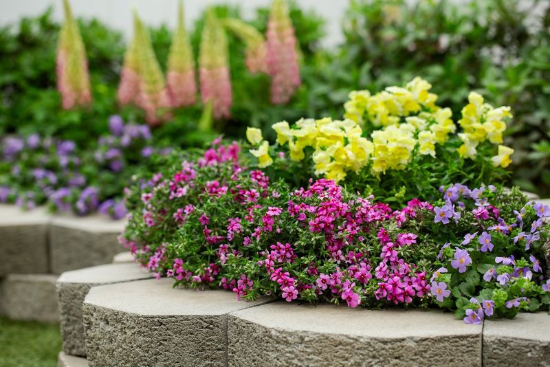 Flowering Ground Covers