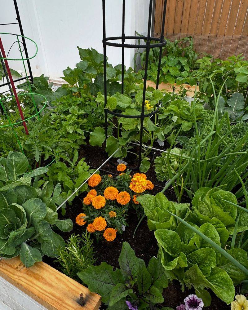 Follow Planting Instructions Exactly
