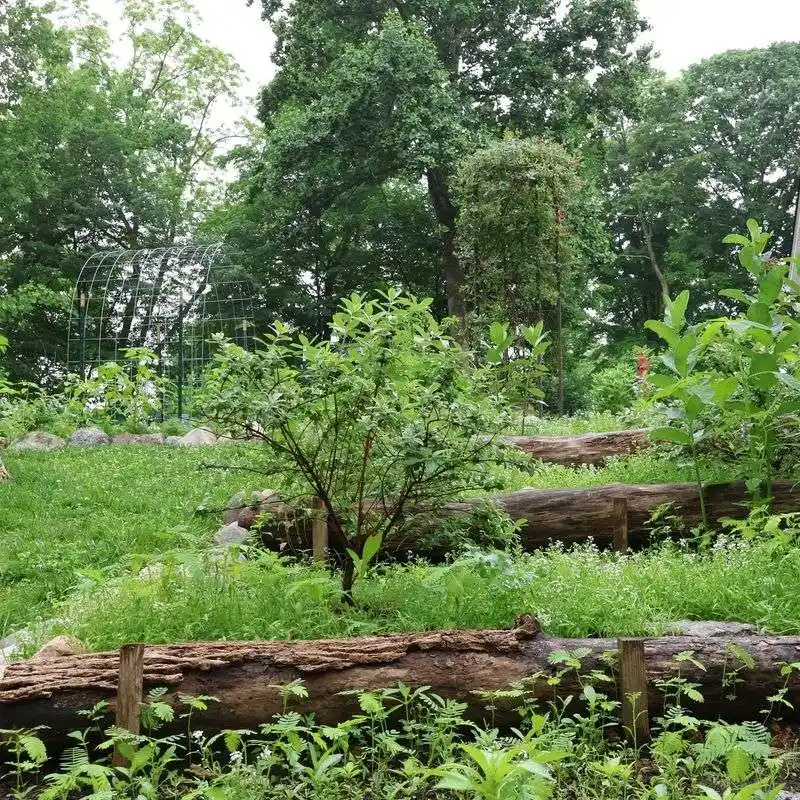 Forest Gardening