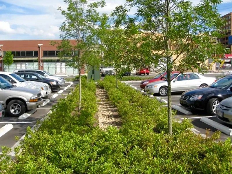 Forgotten Parking Lots