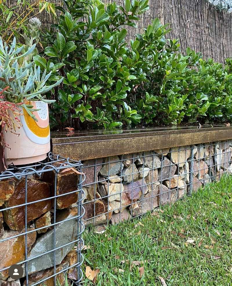 Gabion Walls