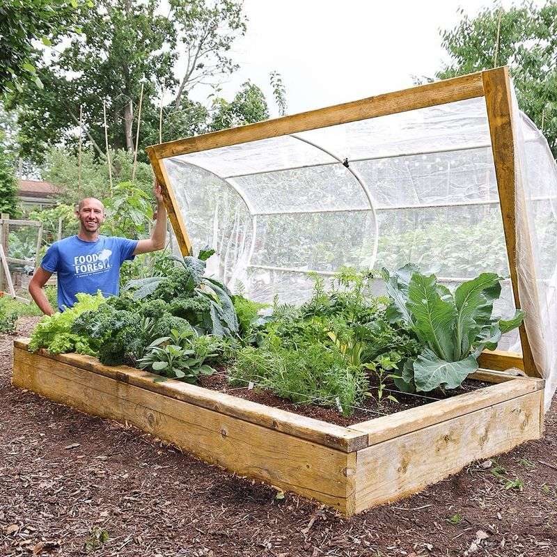 Garden Beds Must Be Perfectly Neat