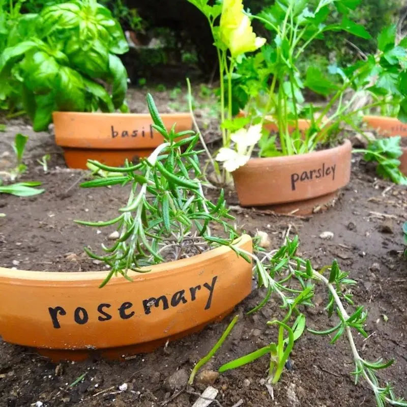 Garden Labels from Broken Pots