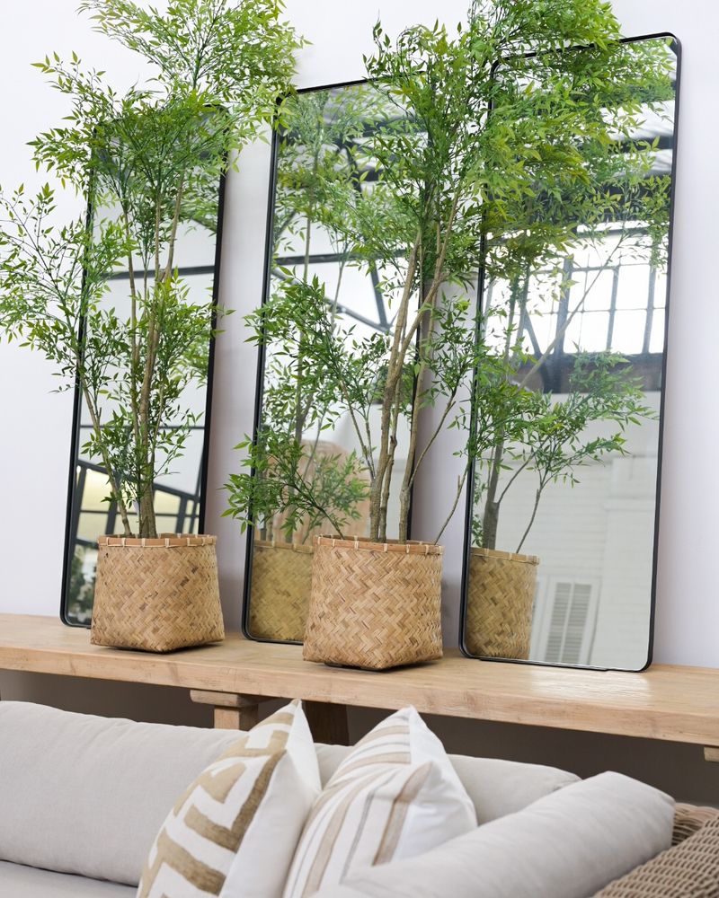 Garden Mirror Illusion