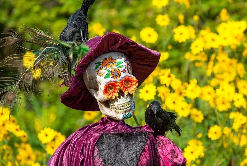 Garden Scarecrow