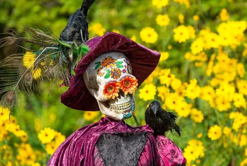 Garden Scarecrow