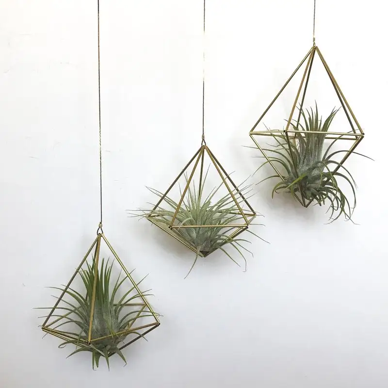 Geometric Plant Holders