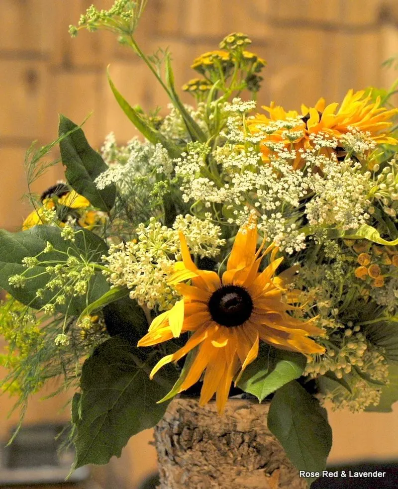 Black-eyed Susan