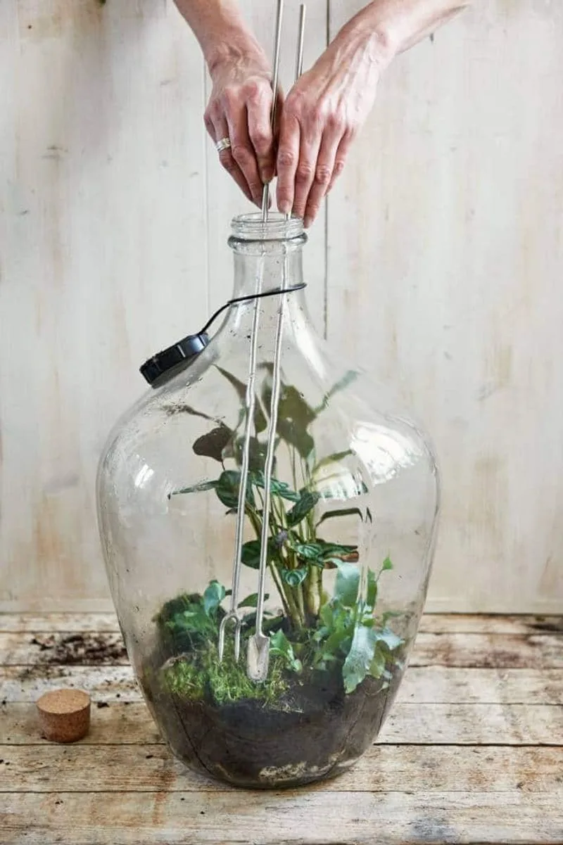 Glass Bottles