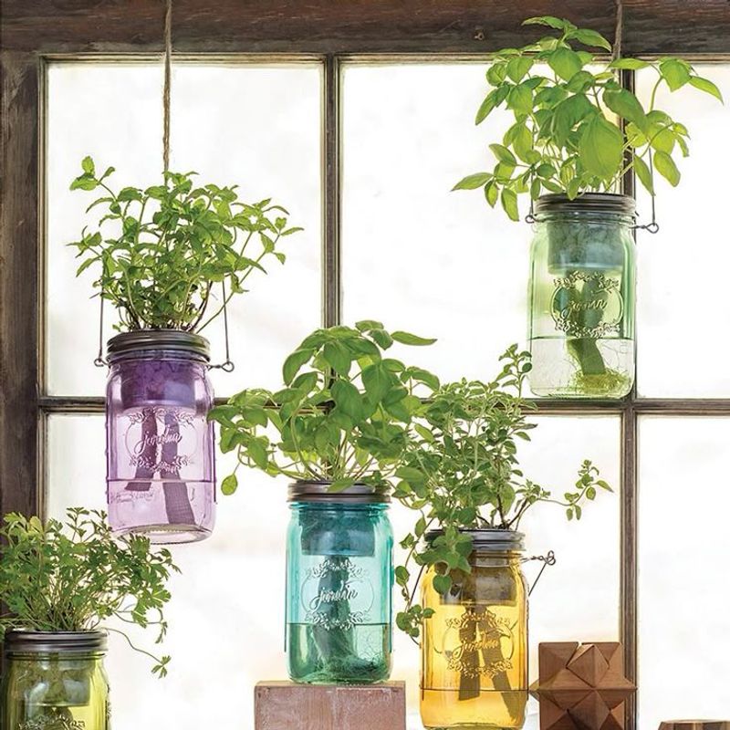 Glass Bottles