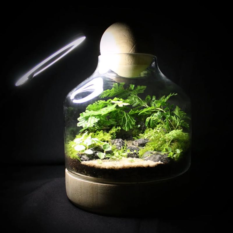 Glass-Encased Plant Lights