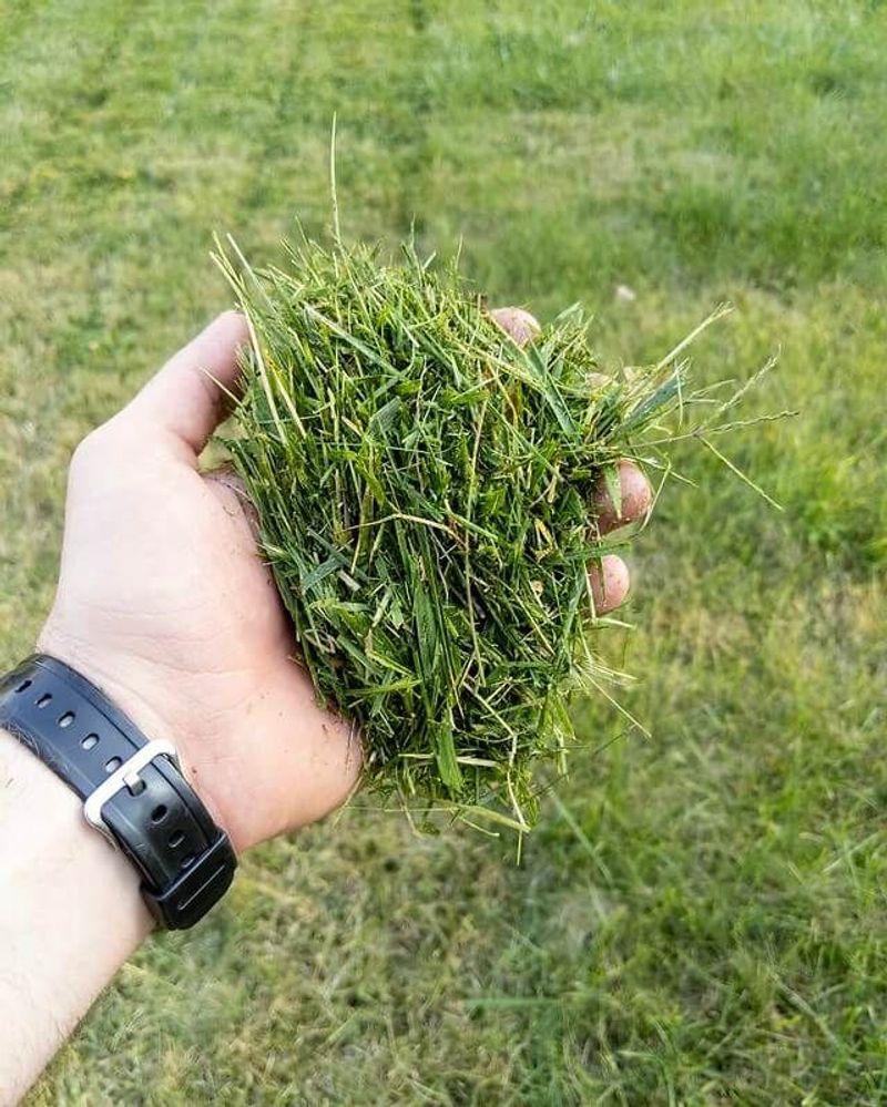 Grass Clippings