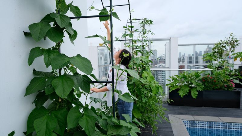 Green Beans