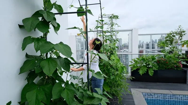 Green Beans