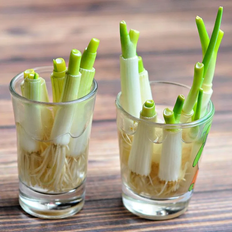 Green Onions