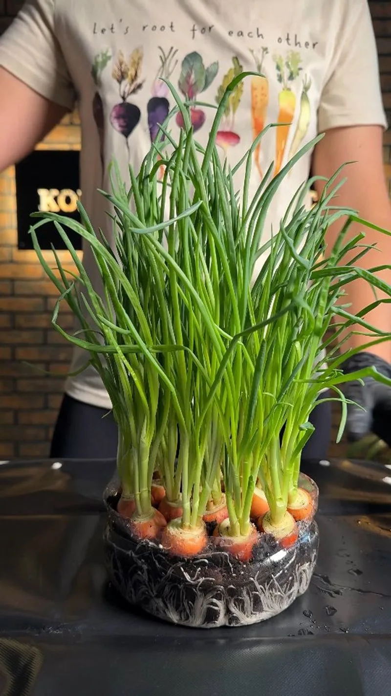 Green Onions
